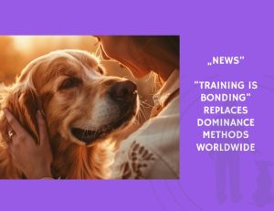 Training Is Bonding Replaces Dominance Methods Worldwide