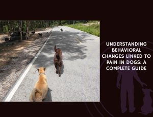 Understanding Behavioral Changes Linked to Pain in Dogs A Complete Guide