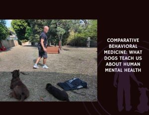 Comparative Behavioral Medicine What Dogs Teach Us About Human Mental Health