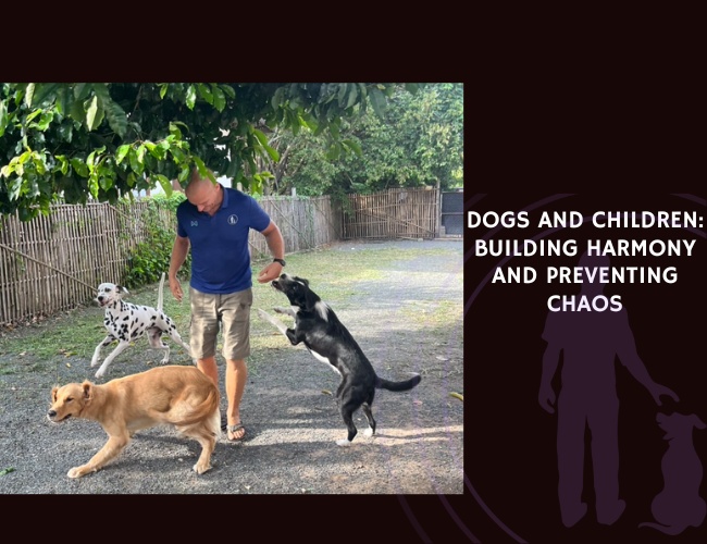 Dogs and Children Building Harmony and Preventing Chaos
