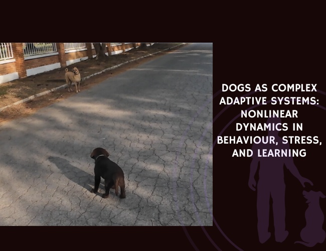 Dogs as Complex Adaptive Systems Nonlinear Dynamics in Behaviour, Stress, and Learning