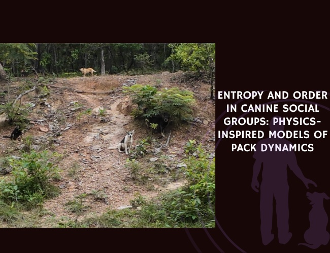Entropy and Order in Canine Social Groups Physics-Inspired Models of Pack Dynamics