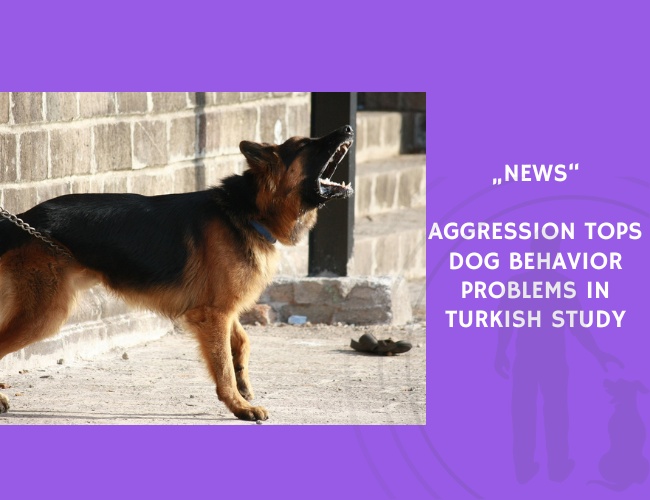 News-Aggression Tops Dog Behavior Problems in Turkish Study