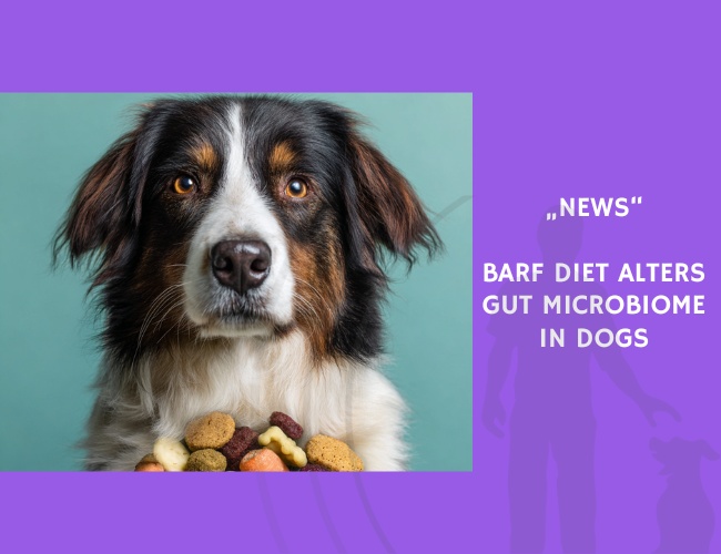 News-BARF Diet Alters Gut Microbiome in Dogs