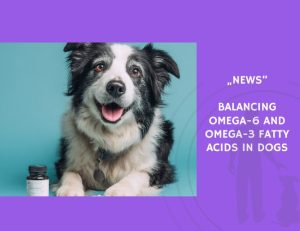 News-Balancing Omega-6 and Omega-3 Fatty Acids in Dogs