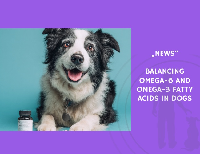 News-Balancing Omega-6 and Omega-3 Fatty Acids in Dogs