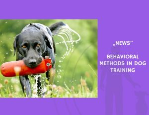 News-Behavioral Methods in Dog Training