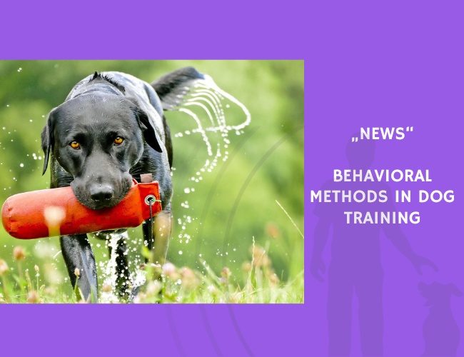News-Behavioral Methods in Dog Training