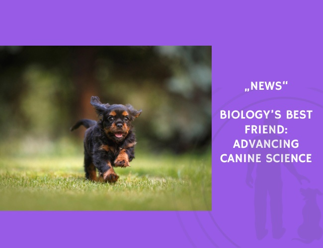 News-Biology’s Best Friend Advancing Canine Science