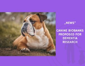 News-Canine Biobanks Proposed for Dementia Research