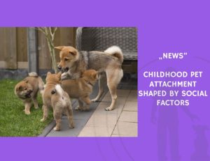 News-Childhood Pet Attachment Shaped by Social Factors