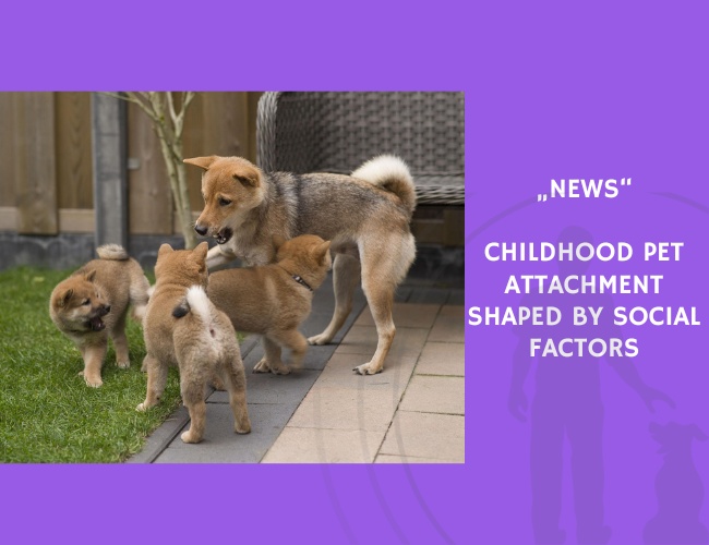 News-Childhood Pet Attachment Shaped by Social Factors