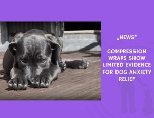 News-Compression Wraps Show Limited Evidence for Dog Anxiety Relief