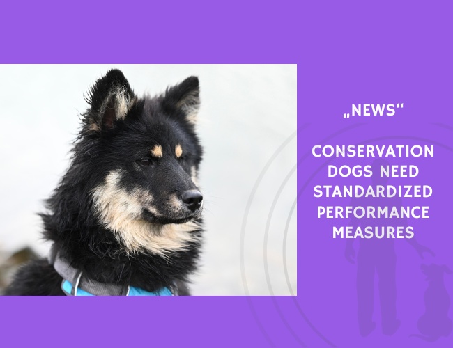News-Conservation Dogs Need Standardized Performance Measures
