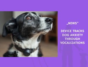 News-Device Tracks Dog Anxiety Through Vocalizations