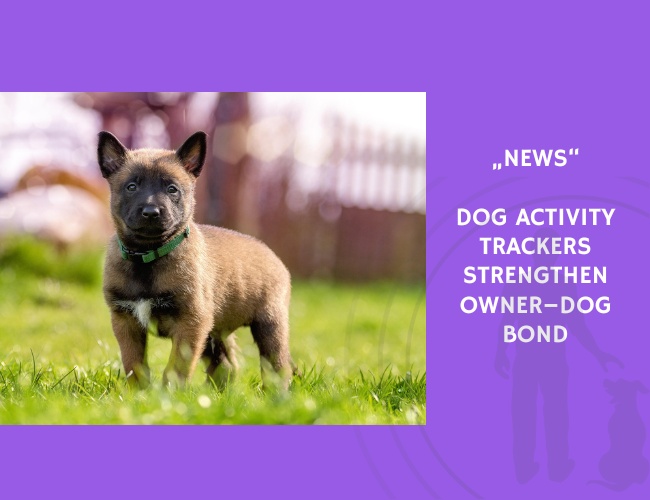 News-Dog Activity Trackers Strengthen Owner–Dog Bond