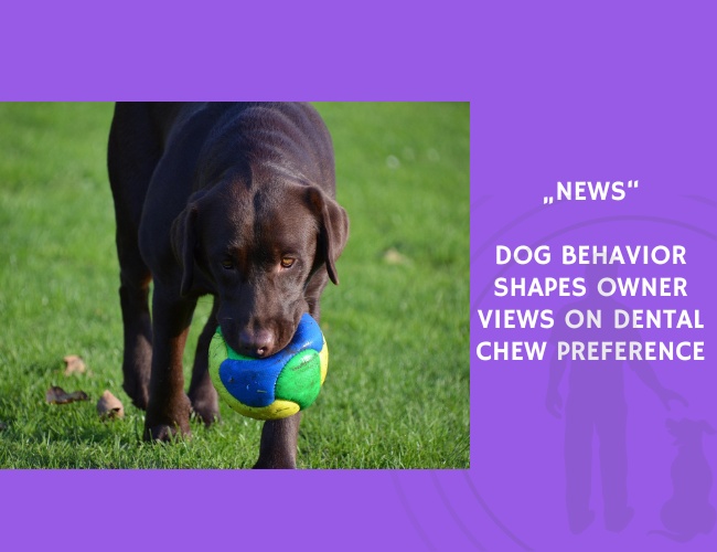News-Dog Behavior Shapes Owner Views on Dental Chew Preference