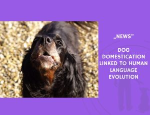 News-Dog Domestication Linked to Human Language Evolution