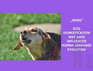News-Dog Domestication May Have Influenced Human Language Evolution
