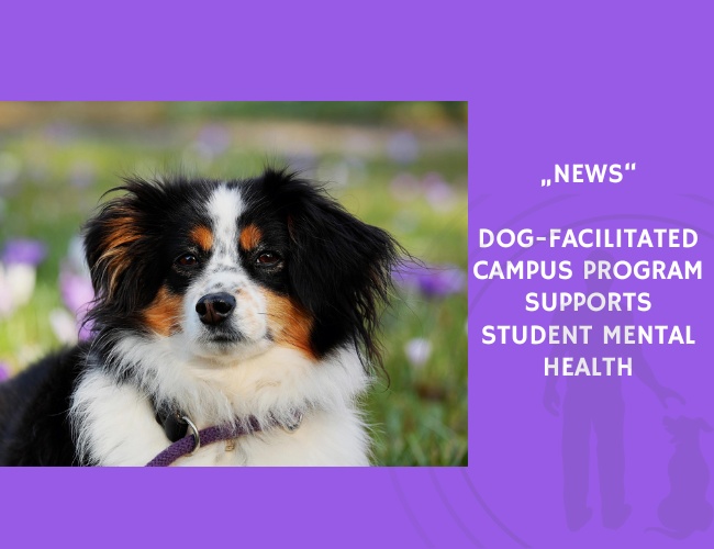 News-Dog-Facilitated Campus Program Supports Student Mental Health