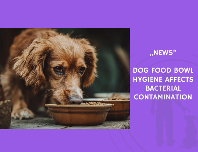 News-Dog Food Bowl Hygiene Affects Bacterial Contamination