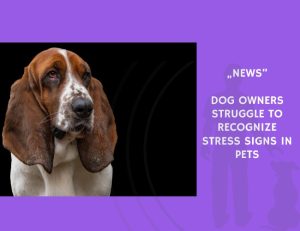 News-Dog Owners Struggle to Recognize Stress Signs in Pets
