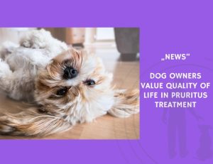 News-Dog Owners Value Quality of Life in Pruritus Treatment