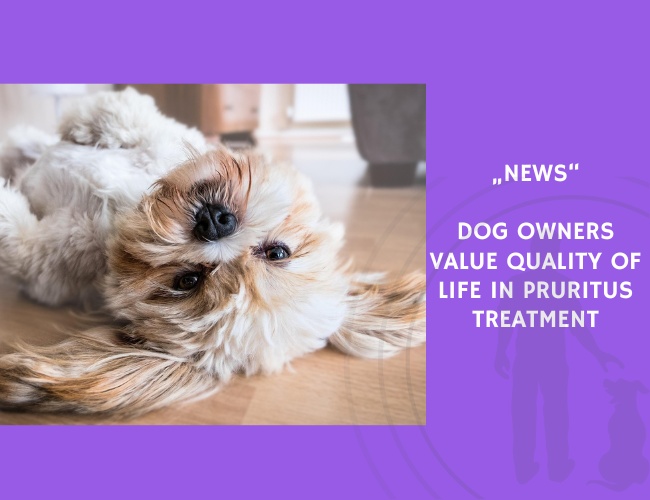 News-Dog Owners Value Quality of Life in Pruritus Treatment