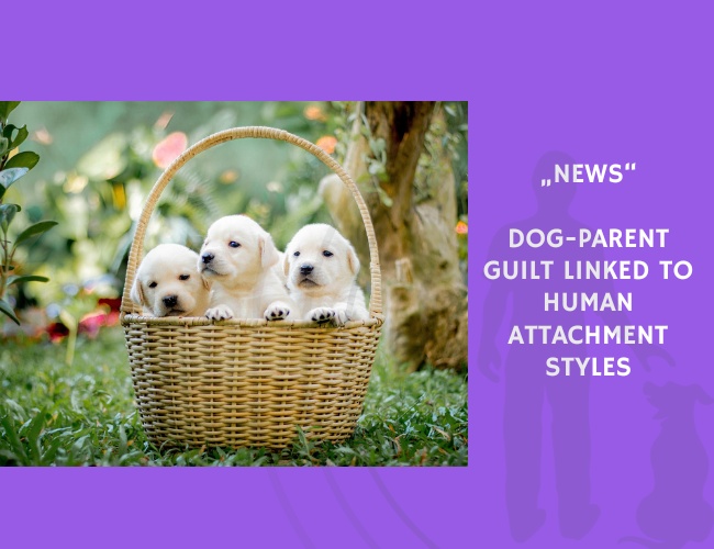 News-Dog-Parent Guilt Linked to Human Attachment Styles