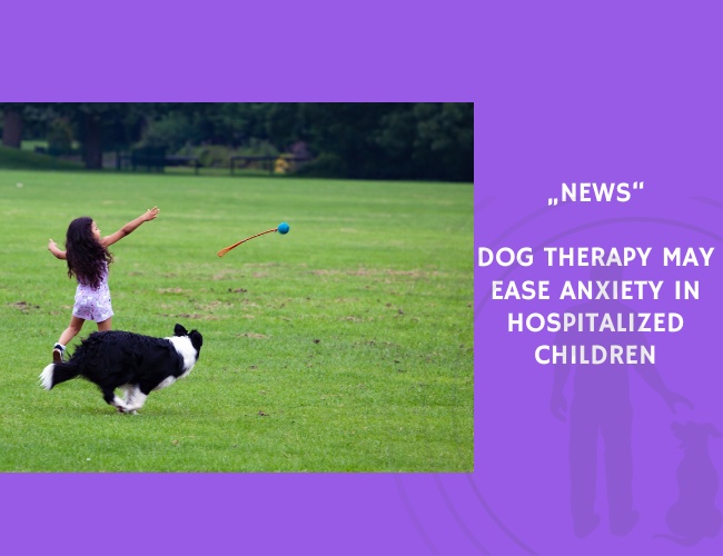 News-Dog Therapy May Ease Anxiety in Hospitalized Children