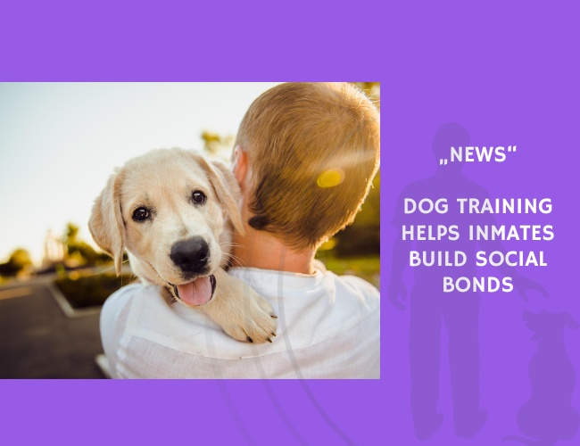 News-Dog Training Helps Inmates Build Social Bonds