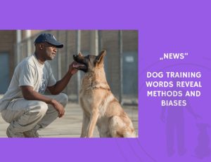 News-Dog Training Words Reveal Methods and Biases