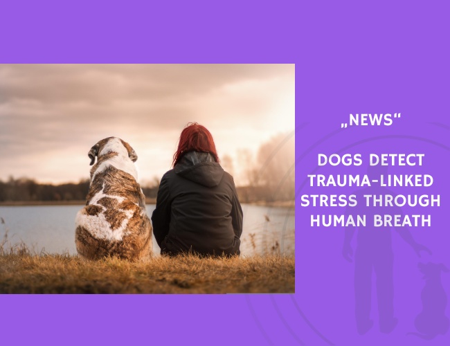 News-Dogs Detect Trauma-Linked Stress Through Human Breath