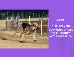 News-Dogs’ Displacement Behaviors Linked to Ambiguity, Not Aggression