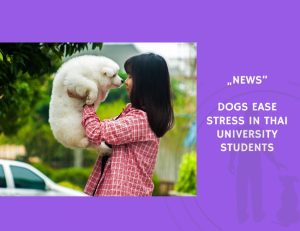 News-Dogs Ease Stress in Thai University Students