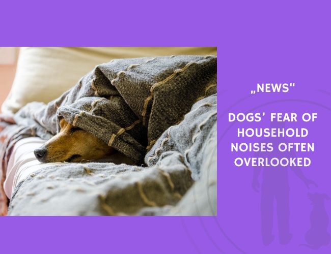 News-Dogs’ Fear of Household Noises Often Overlooked