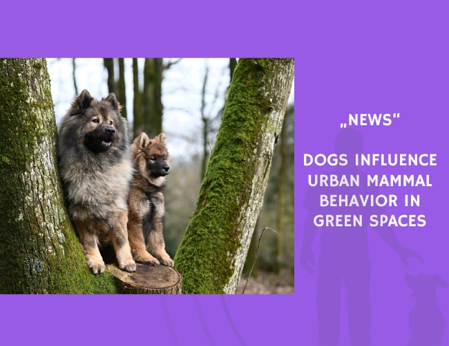 News-Dogs Influence Urban Mammal Behavior in Green Spaces