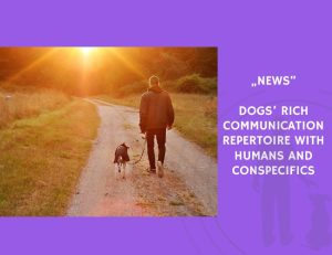 News-Dogs’ Rich Communication Repertoire with Humans and Conspecifics