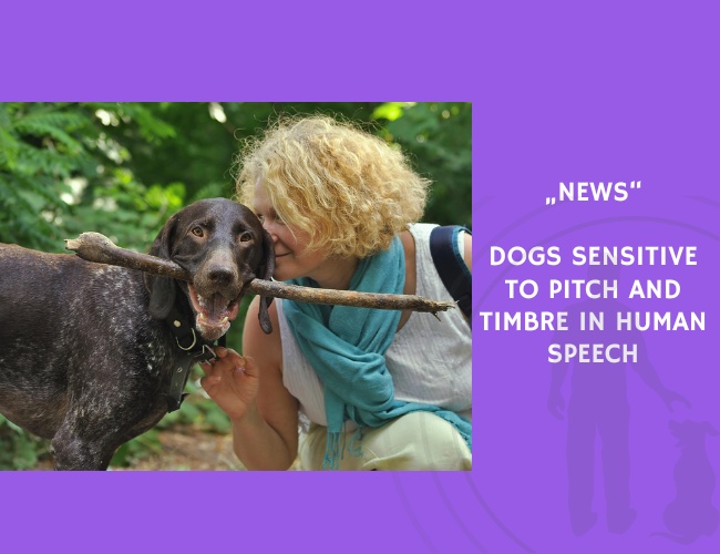News-Dogs Sensitive to Pitch and Timbre in Human Speech