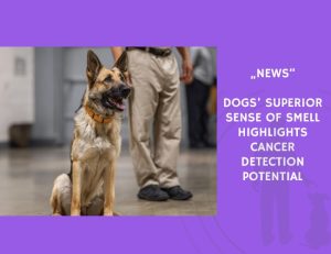News-Dogs’ Superior Sense of Smell Highlights Cancer Detection Potential