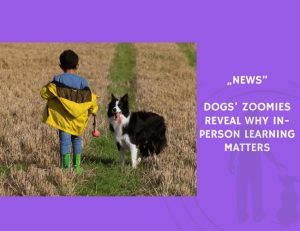 News-Dogs’ Zoomies Reveal Why In-Person Learning Matters