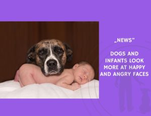 News-Dogs and Infants Look More at Happy and Angry Faces