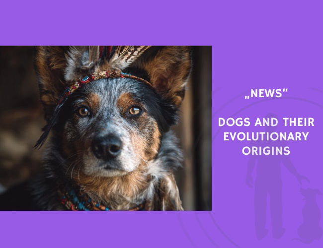 News-Dogs and Their Evolutionary Origins