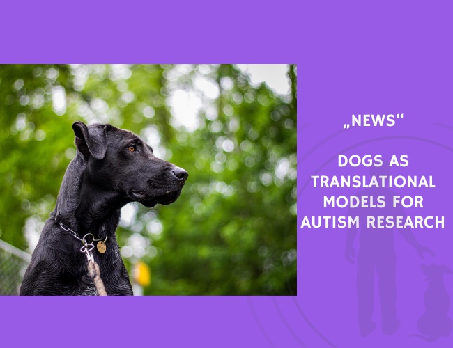 News-Dogs as Translational Models for Autism Research