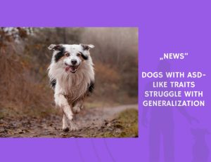 News-Dogs with ASD-Like Traits Struggle with Generalization