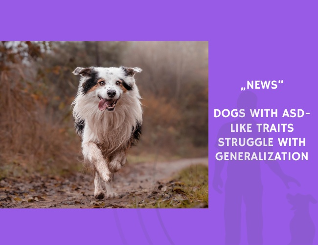 News-Dogs with ASD-Like Traits Struggle with Generalization