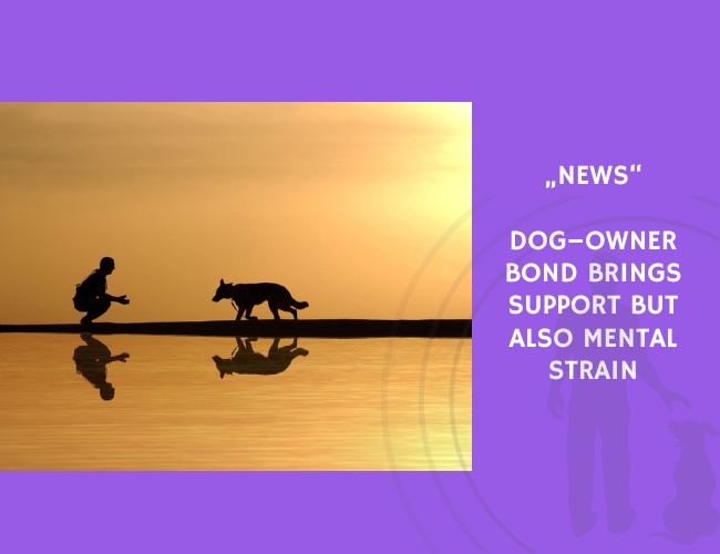 News-Dog–Owner Bond Brings Support but Also Mental Strain