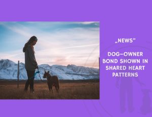 News-Dog–Owner Bond Shown in Shared Heart Patterns