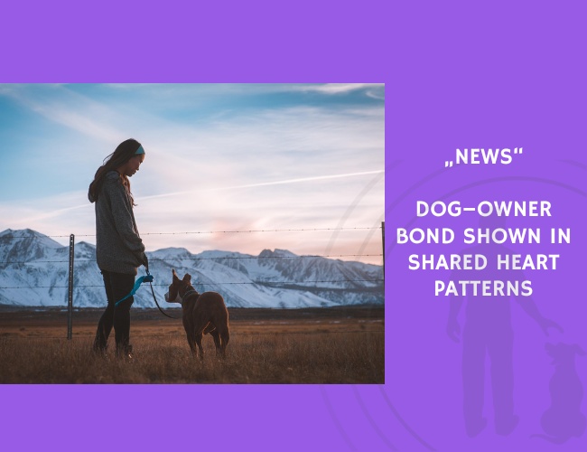 News-Dog–Owner Bond Shown in Shared Heart Patterns