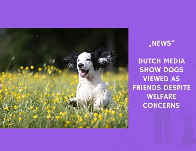 News-Dutch Media Show Dogs Viewed as Friends Despite Welfare Concerns
